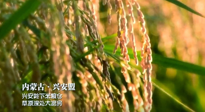 应当强化和完善扶贫广告的监管
