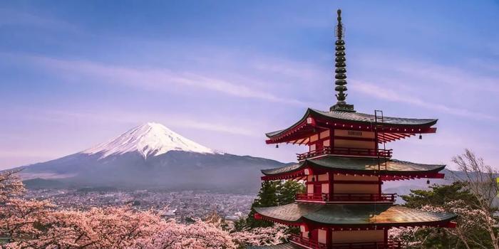 日本将出台通信行业自主规范 防止广告晦涩难懂