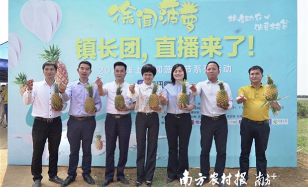 推广徐闻菠萝模式，未来三年广东市县长每月上线直播带货