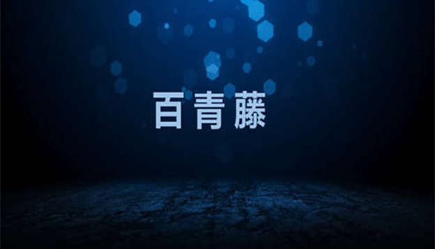 百青藤支持哪些广告位？