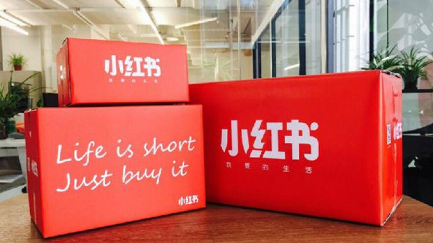 小红书品牌合作平台更名为&ldquo;小红书蒲公英&rdquo;