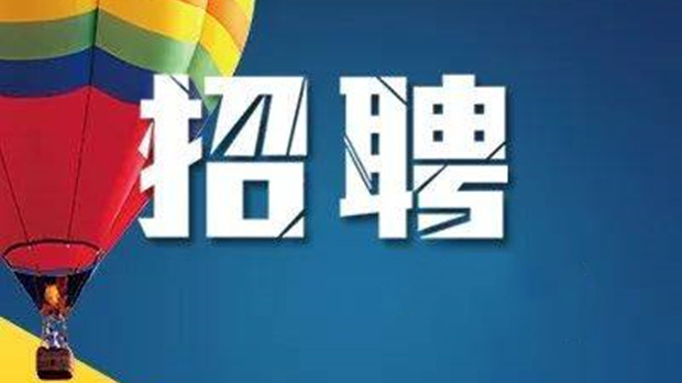 大力教育持续加码人才投入，未来四个月招聘一万人