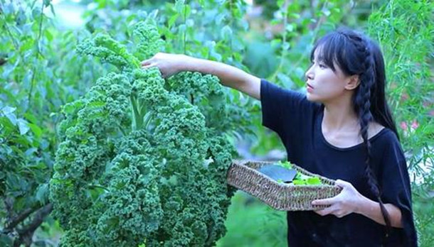 李子柒品牌案例复盘：两天吸引万人参与的私域引流活动怎么打造