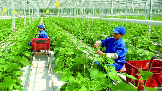 让农村成为创业兴业新天地