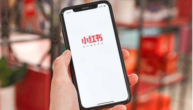 小红书飞升被棒喝，中国盖茨比渡劫难难难