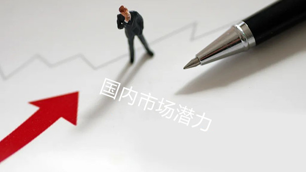 如何充分挖掘国内市场潜力