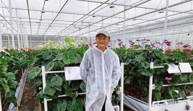 拼多多赔钱搞农业，马云也要重出江湖&ldquo;务农&rdquo;？目的是什么