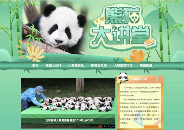 讲好熊猫故事，央视网熊猫频道&ldquo;够科普&rdquo;