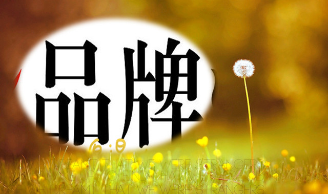 为什么你的品牌一直做不大?