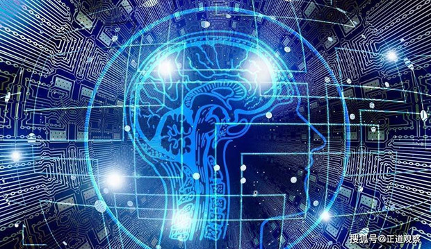 未来若人类与人工智能结合，我们是否不再需要学习