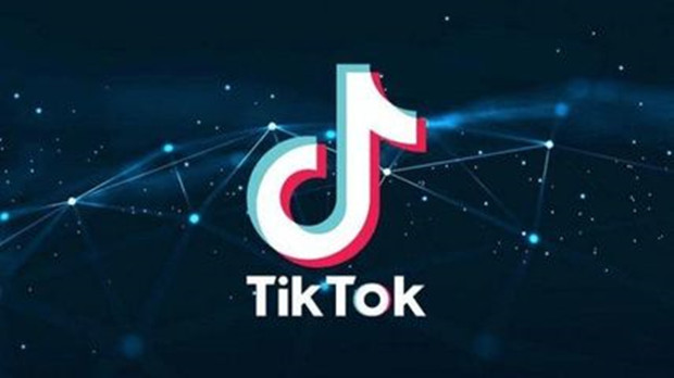 TikTok复制SHEIN，为何首战即落败？