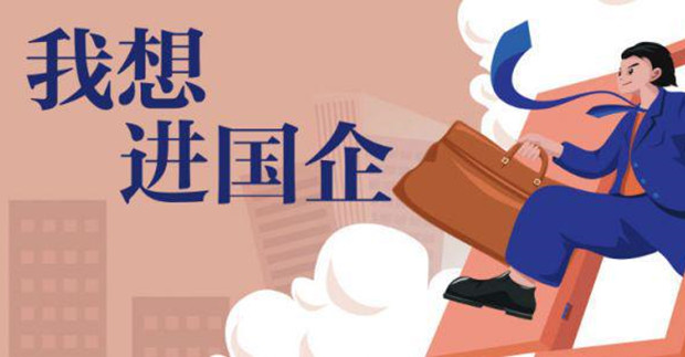 我想进国企