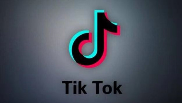 美国压力激增 TikTok更换全球安全主管