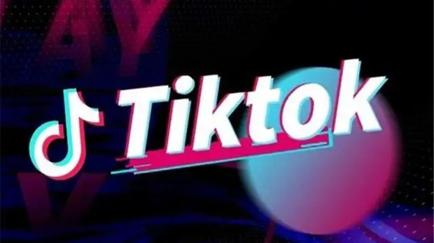 TikTok广告投放ROI惊人，78%的小型企业收获颇丰