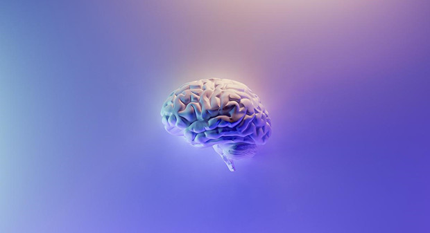 ChatGPT热潮下，多位医疗专家认为 AI 会助力攻克脑疾病
