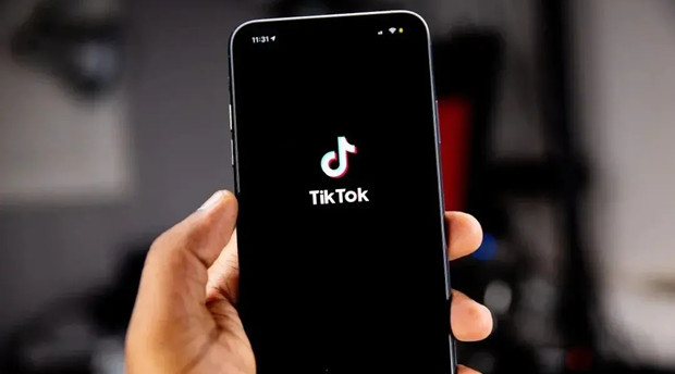 TikTok的美国信任和安全主管即将离职
