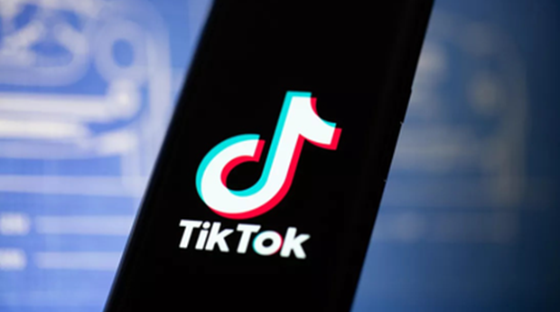 TikTok使用率最高的10个国家