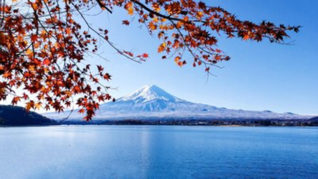 日本调整EV补贴政策，本土品牌不变，海外品牌缩水