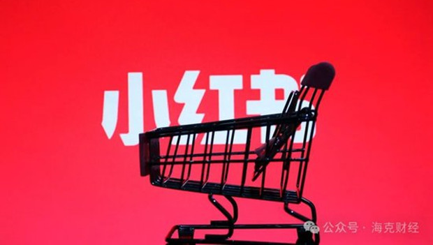 小红书远征迷局