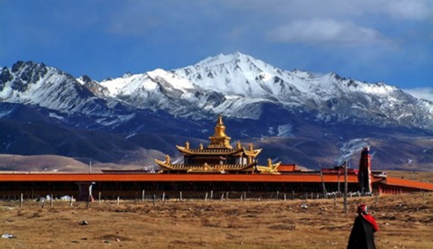 俞敏洪的文旅赌局