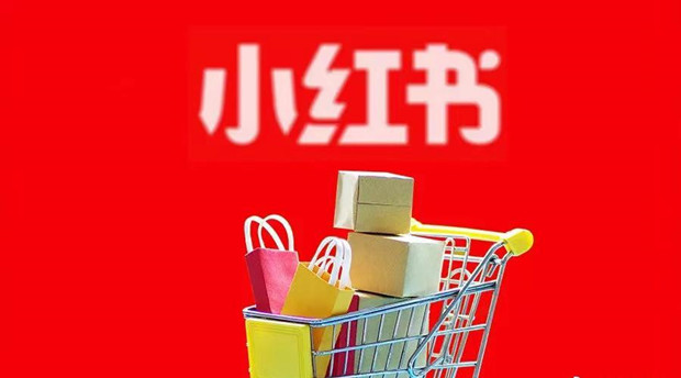 小红书上的店，怎么越来越多了