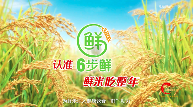 CCTV品牌发布 │ 6步鲜米精控技术创新体系，为鲜米注入健康饮食&ldquo;鲜&rdquo;动力