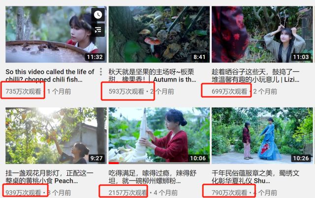 李子柒一年能赚多少钱,数据量化给你看