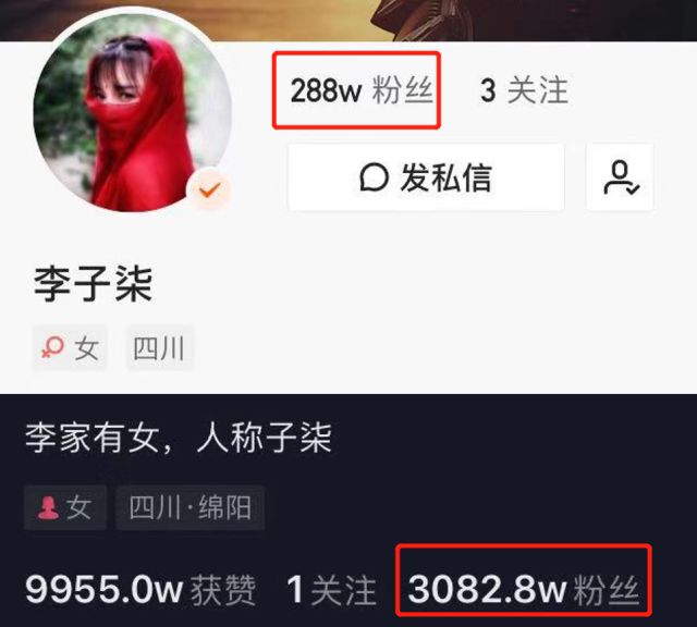 李子柒一年能赚多少钱,数据量化给你看