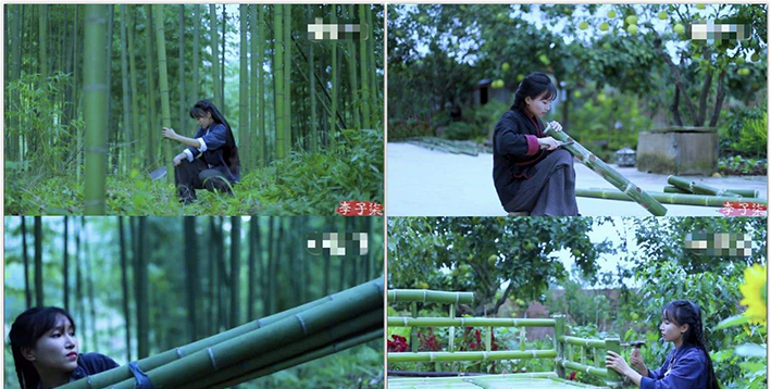 李子柒一年能赚多少钱，数据量化给你看