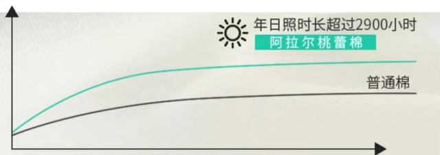 优衣库迪卡侬拜拜了，中国9年造出国棉641，品质领先日本T恤