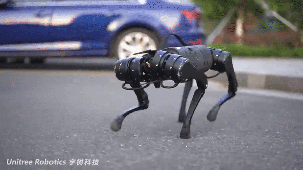 中国公司击穿价格底线：不到1万美元的机器狗，售价仅国外1/10