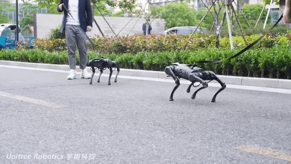 中国公司击穿价格底线：不到1万美元的机器狗，售价仅国外1/10