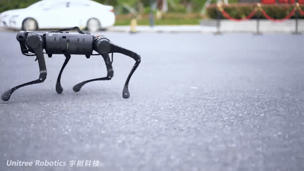 中国公司击穿价格底线：不到1万美元的机器狗，售价仅国外1/10