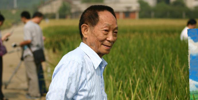 饶毅：55年前，袁隆平发表论文的意义