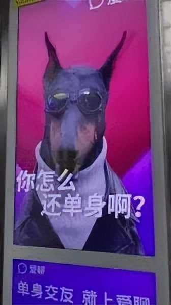 冒犯人的广告，什么时候能停下来？