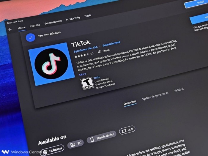 TikTok将根据欧盟规则打击"快速致富"计划和未披露的广告