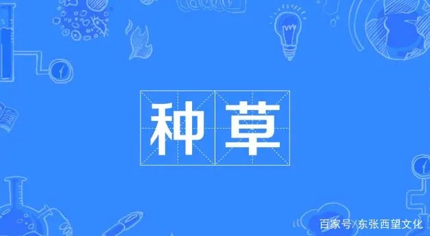 &ldquo;隐形种草&rdquo;广告该除草了