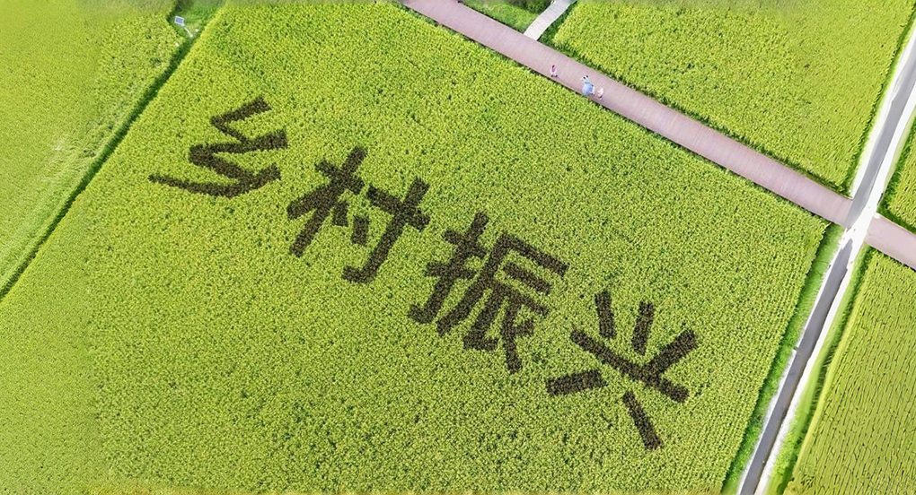 &ldquo;广告助农&rdquo;开辟乡村致富路，山东又有新解法