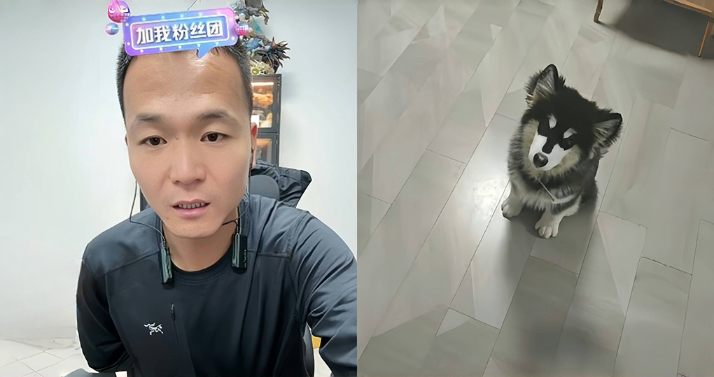 &ldquo;潘宏爱玩狗&rdquo;一条广告35万！训练基地被称&ldquo;狗界缅北&rdquo;