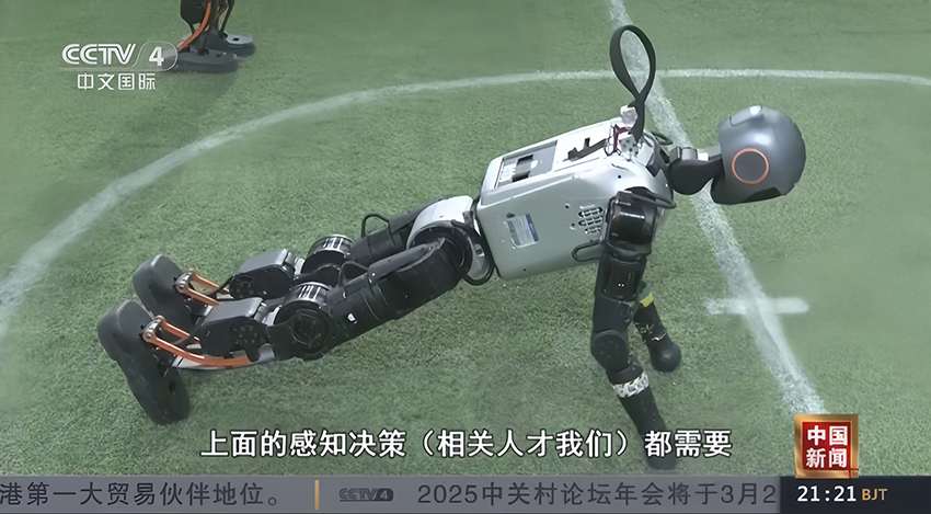 人形机器人生产节奏渐趋明确，多家公司布局丝杠产品