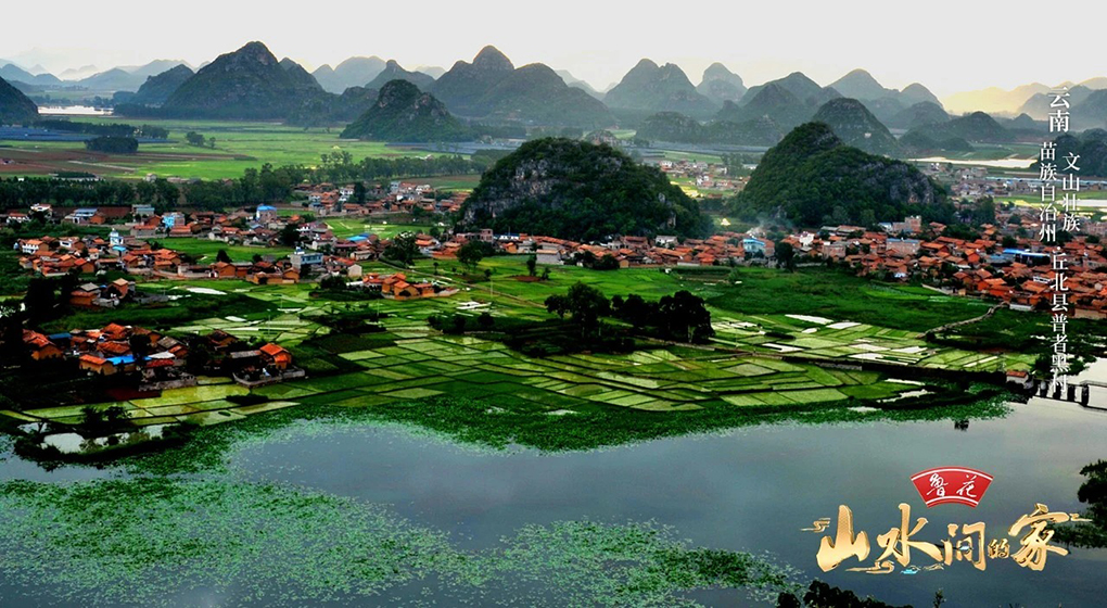 绘就美丽中国生态画卷，彰显合作品牌社会责任，总台系列精品节目刷屏