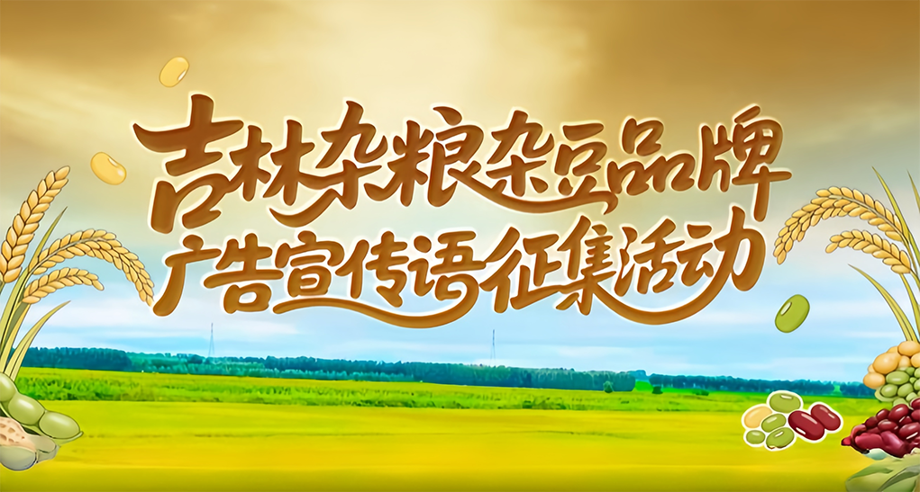 吉林杂粮杂豆品牌广告宣传语全民征集公告